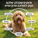 חטיפי פרוביוטיקה לכלבים