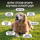חטיף לתמיכה וחיזוק המפרקים