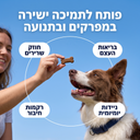 חטיף לתמיכה וחיזוק המפרקים