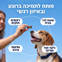 פותח לתמיכה ברוגע ובאיזון רגשי