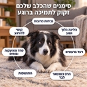 סימנים שהכלב שלכם זקוק לתמיכה ברוגע